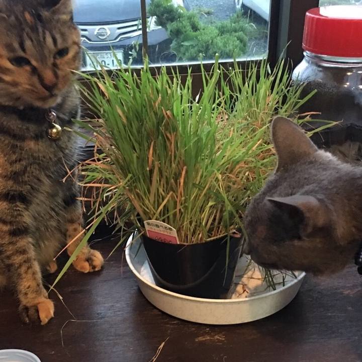 05f6ea81 0b63 4bbf 8516 4b5f7e1f7052