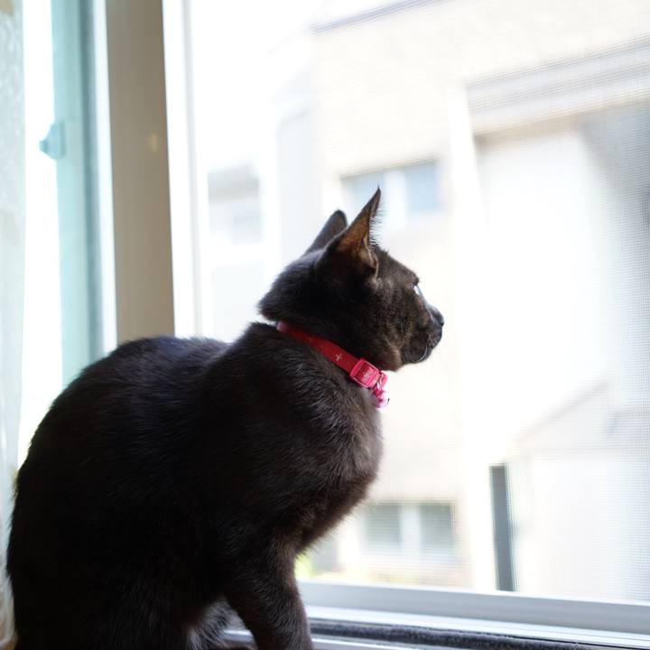 05f71905 41ae 47f9 937d e2dc6068a6f0