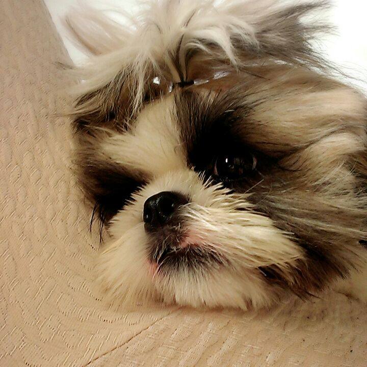 05f73932 6232 488b afcb 45de74fc90aa