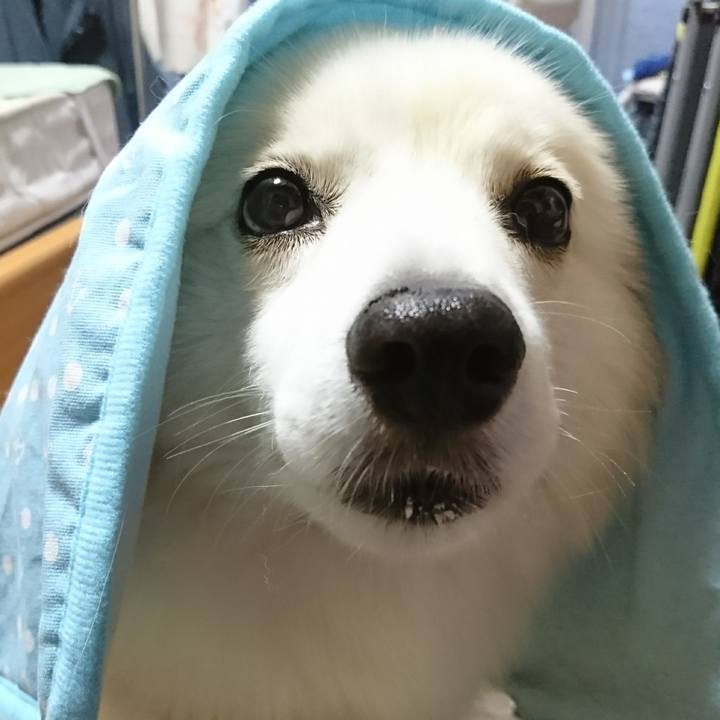 05f767ec 717d 4bab bf06 0cf6c460b86f