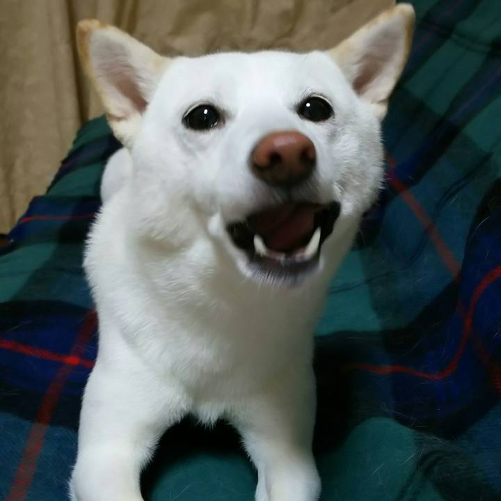 05f7bf6c cf83 422f b3b6 e8161805ee37