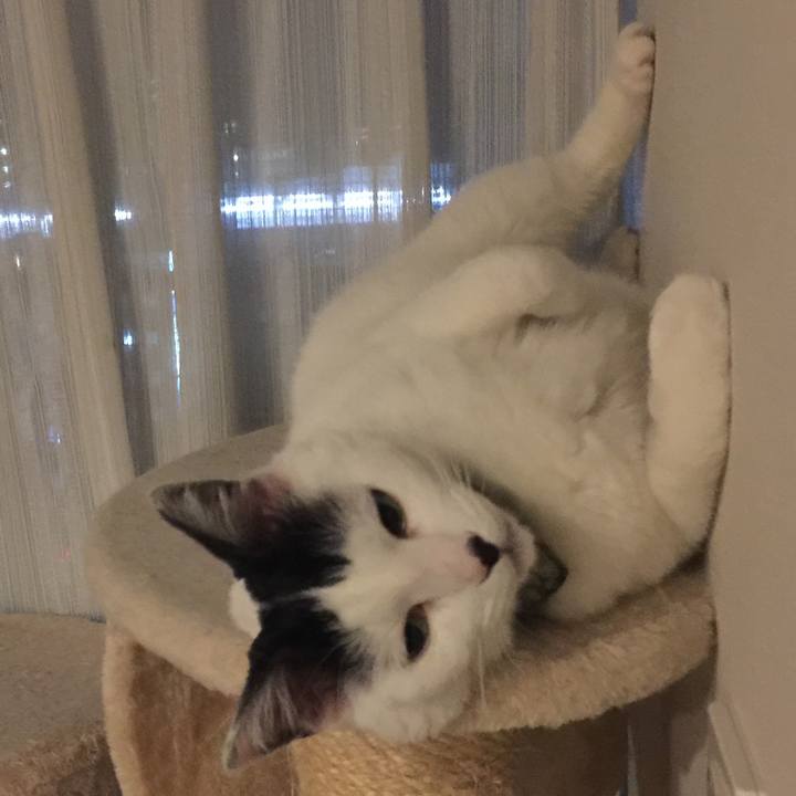 05f85d1c 445a 4f1a ba1b 7ef741b19918