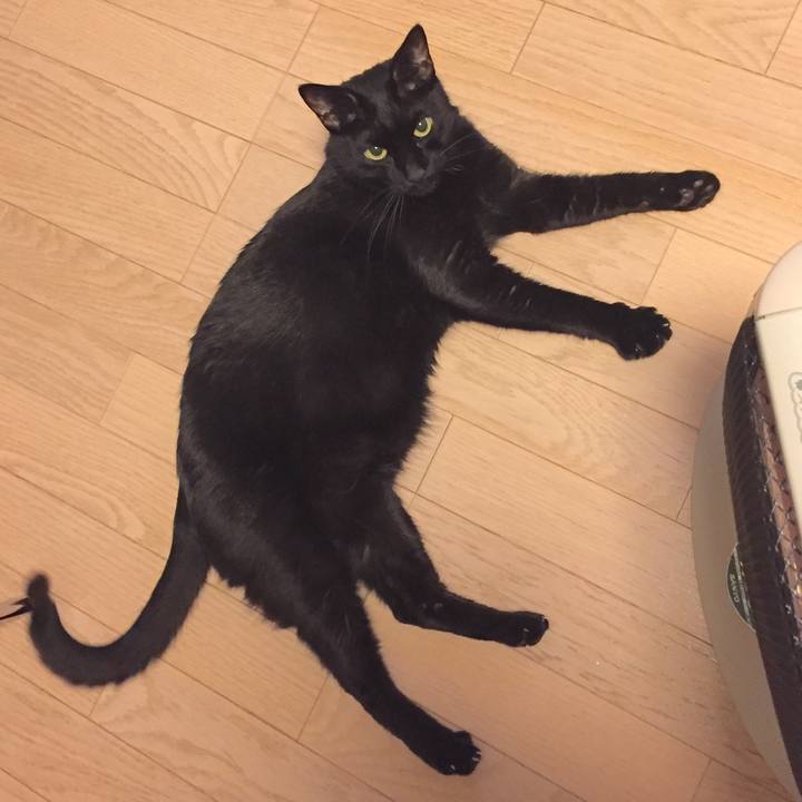 05f9104b fec4 4f4a a84d b89b108d5e6f