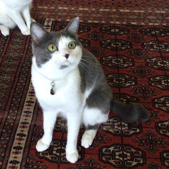 05f93261 ef63 4515 8293 44240506210a