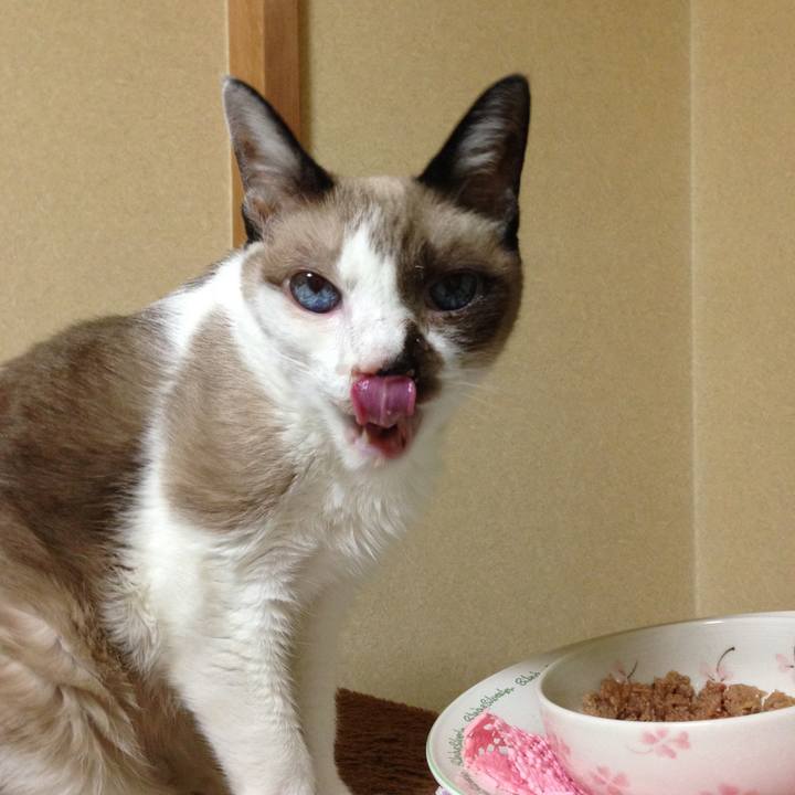 05f98605 eaec 4b5d 9555 2252234f7b6f