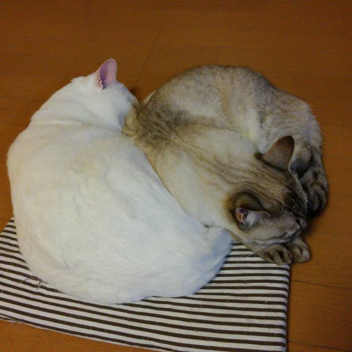 05f9e727 1779 44c5 a7b2 ee415e6b234c