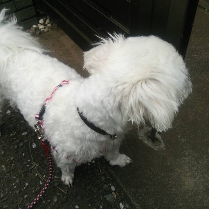 05fa2bc4 2662 437c 98a8 764cf9faffd3