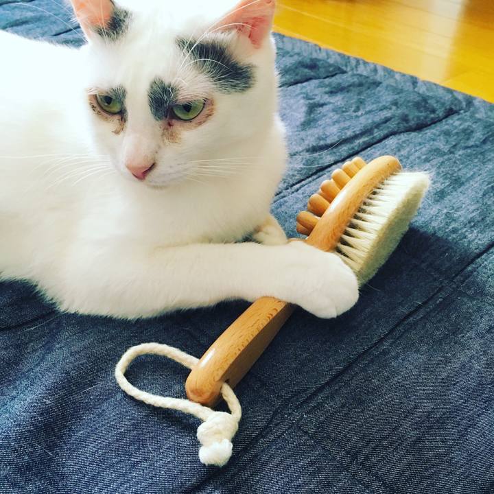 05fa5215 8509 45c4 96f7 338cacf21051