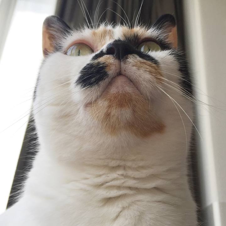 05fa8ab4 9d77 43cf 88e2 686730bda40e