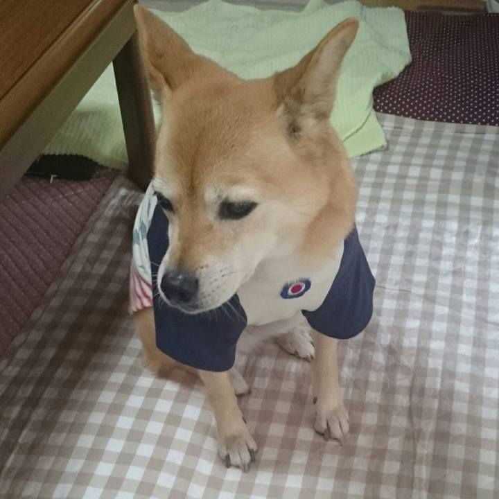 05fa9661 4044 4aa6 b7f1 f4035fdf63ca