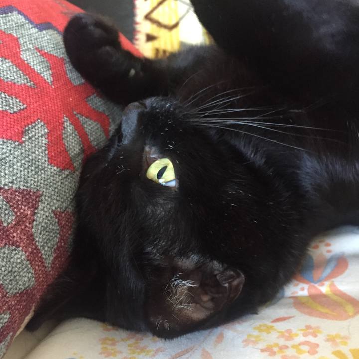 05fb8e6b 478b 4d18 9819 0b3026d70c98