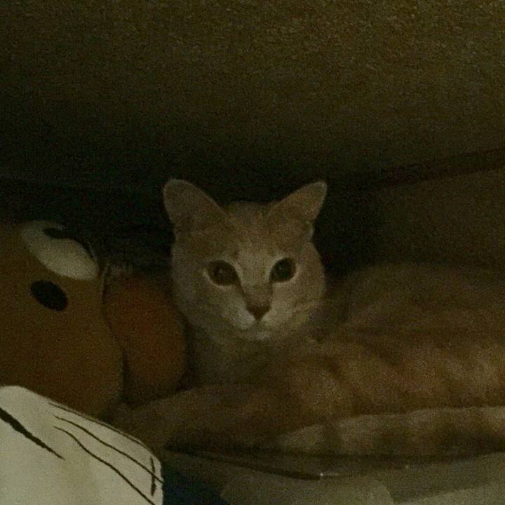 05fb9527 74f6 43b8 98ce 3a470b070aa2