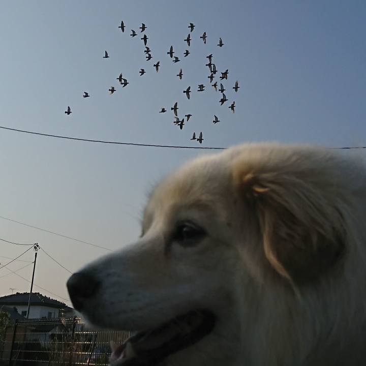 05fc9b65 e544 408a 80fa dc26d01a949b