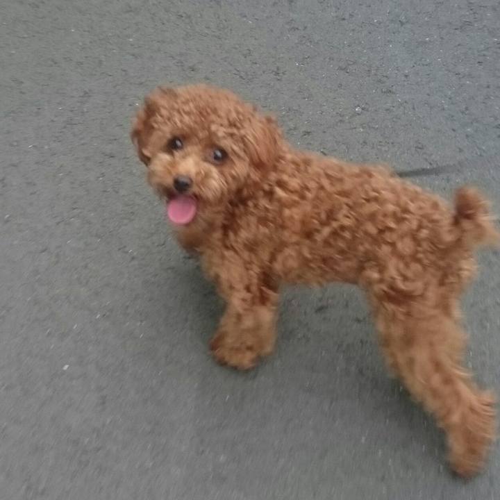 05fd5321 17f0 4ae2 a2f3 10e7e21890ec