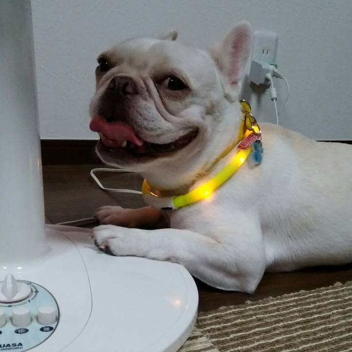 05fd76c6 6eb1 4668 93e0 f542be55b803