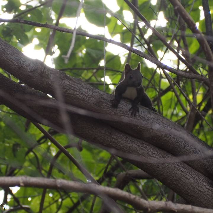 05fde2ec a906 4c2a 962d 994171799d69