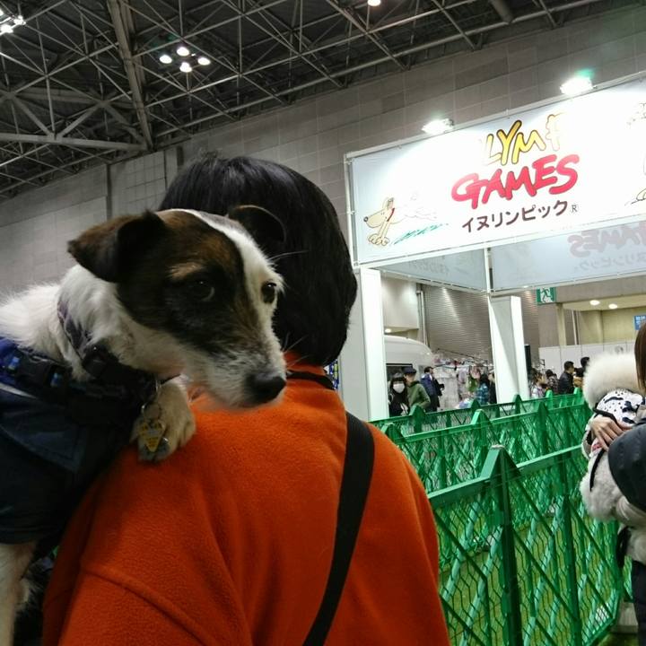 05fefad6 e510 4ab8 9b5b cc59ed1f9044