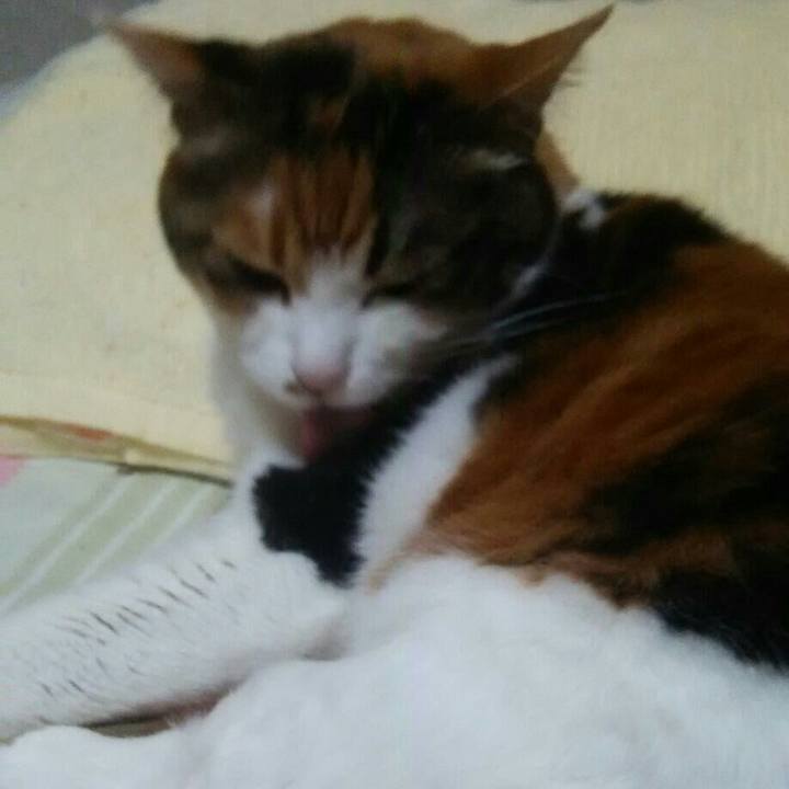 06005273 eebc 49da a23f b4b75104b166