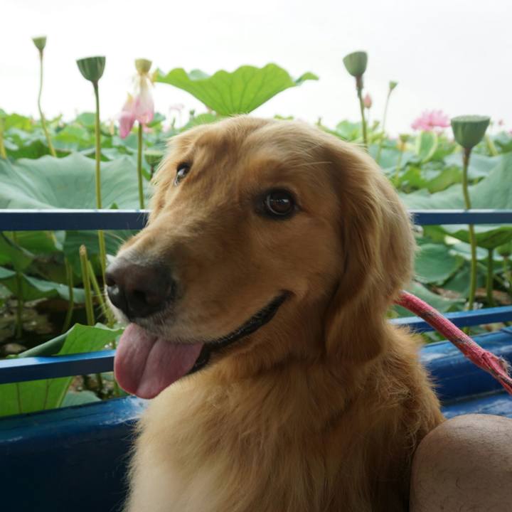 0600a8bf fdb9 46db 8b0a e0f80ae03164