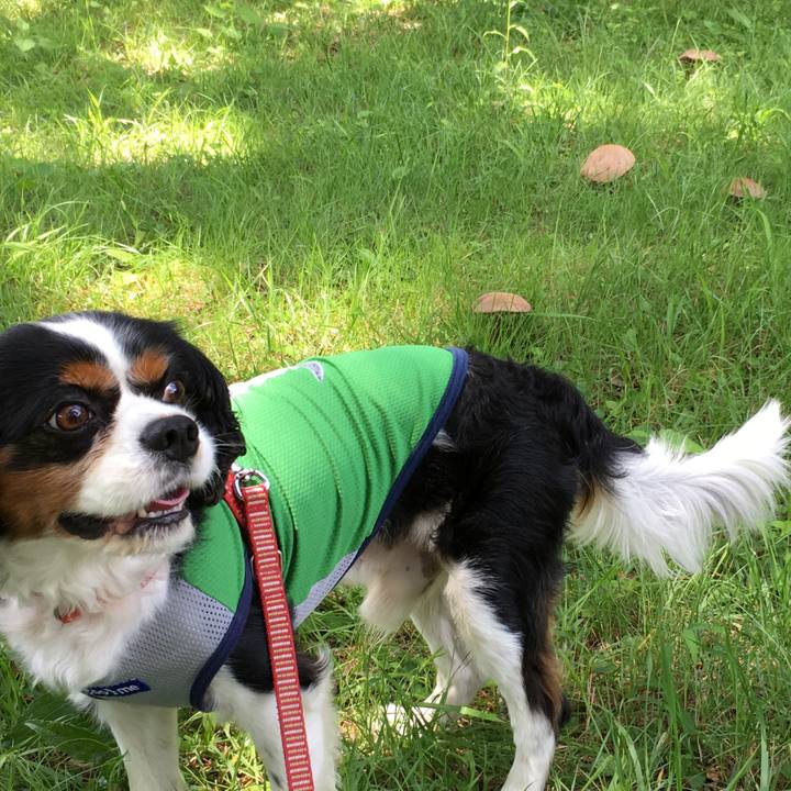 060115bd e2a9 4dff a501 1269368793e7