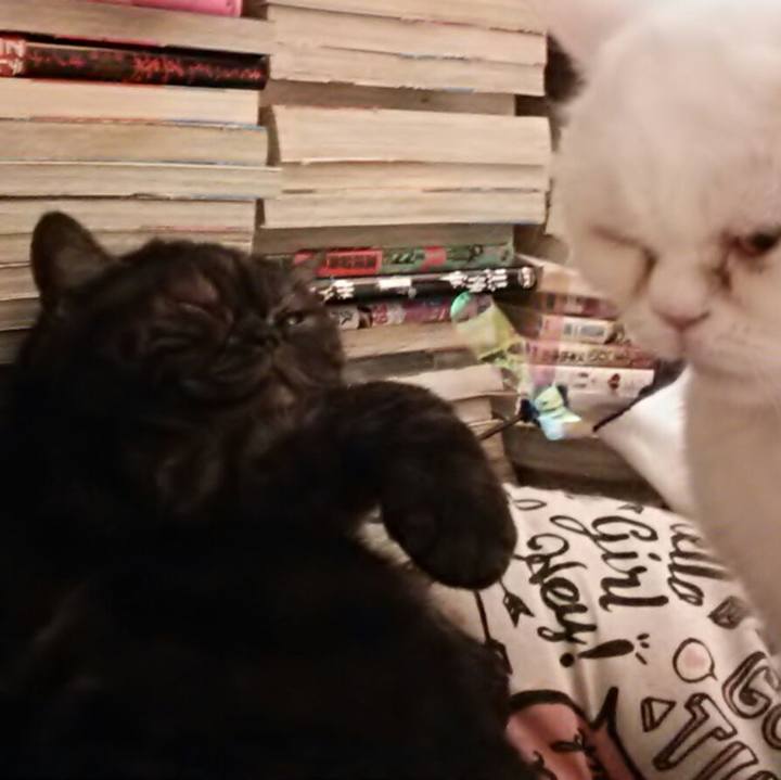 0601ef72 a19b 4dcf b381 c07ccf876e4b