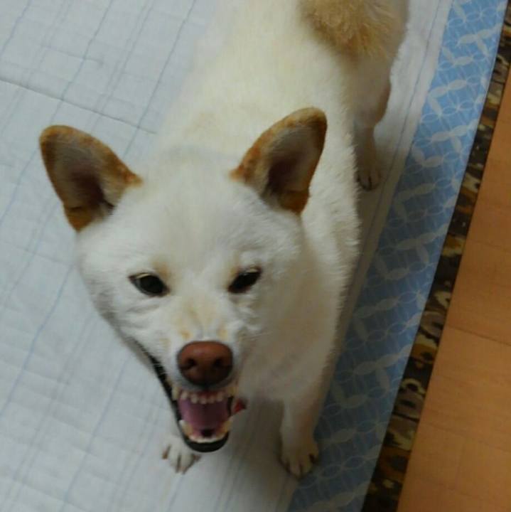 0602117f 6f5c 4561 947a 449fa0853372