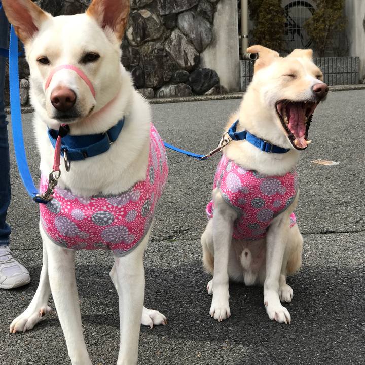 060222bf 071c 46f0 ba27 bfff02aa7db8