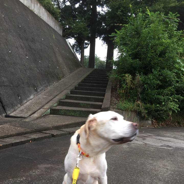 06026af6 25d4 4c33 a916 dfa030167b11