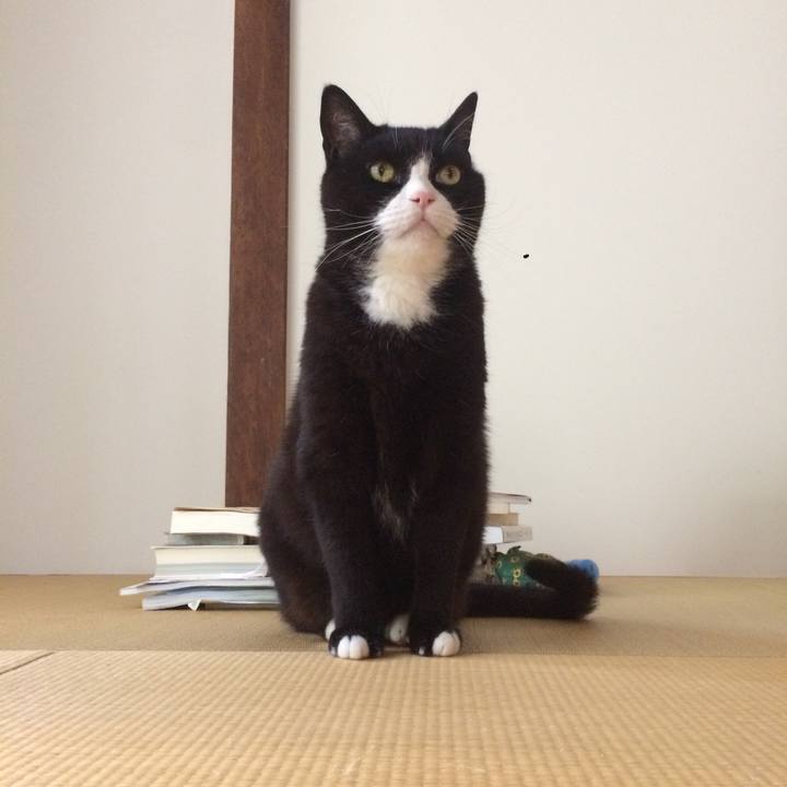 06030a80 c880 451b bdeb f5de130463ec