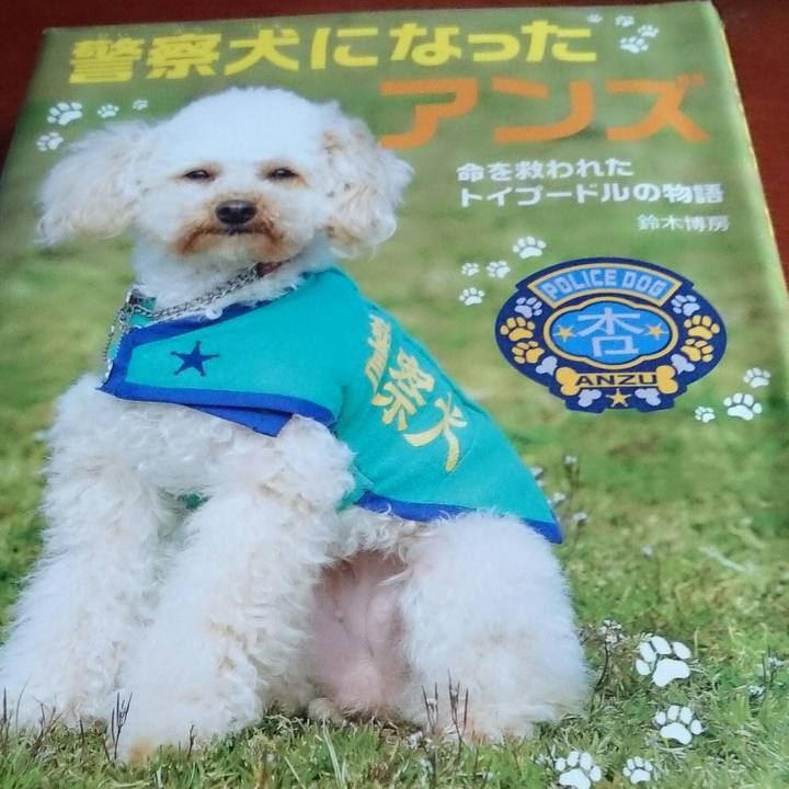 06039d95 d5f8 4984 9248 bc33260e1a9e