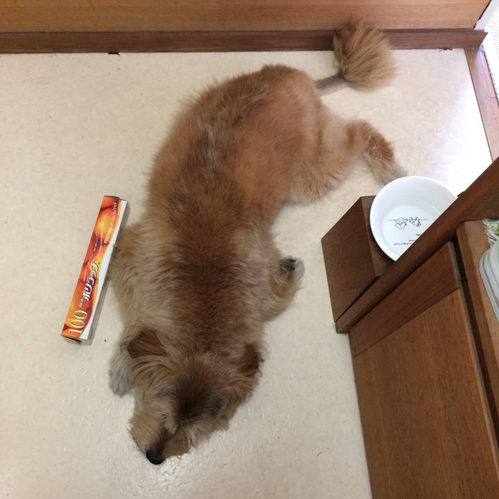 0603d602 f45b 4c8c b0ff a3c20f9d4816