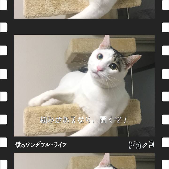 0604129c 3fc7 420c 8011 06b761c99046