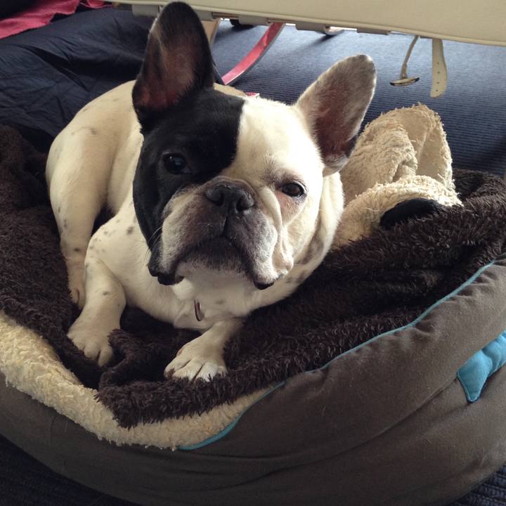 06045bdb f719 43de 9919 fa981a3df618