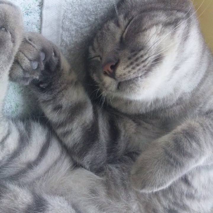 06046821 4016 4d99 ba3e defd187b8dfd