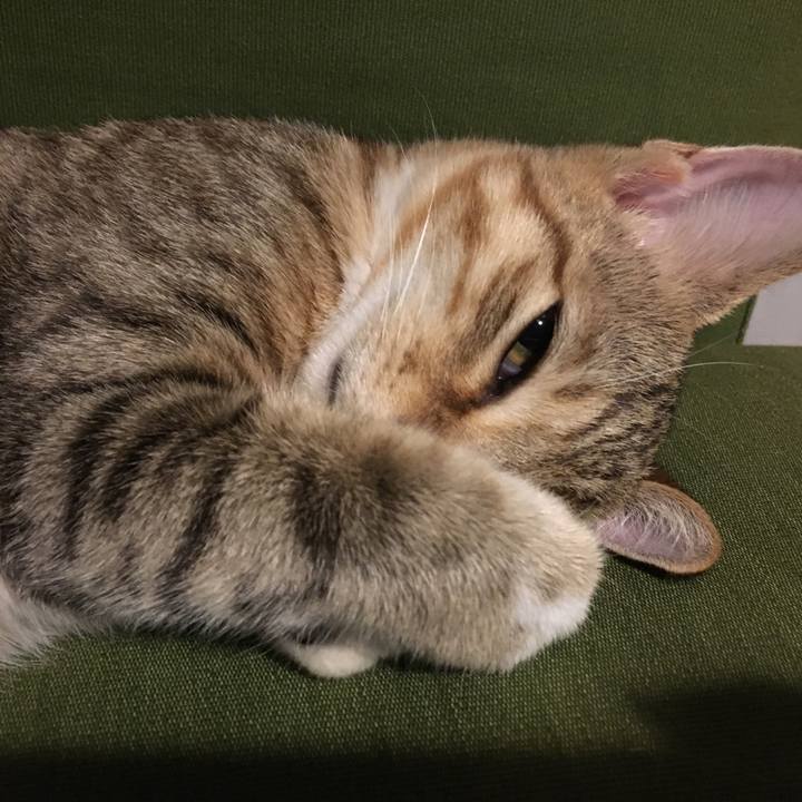 060489f3 00c8 4973 a710 6d131b817910