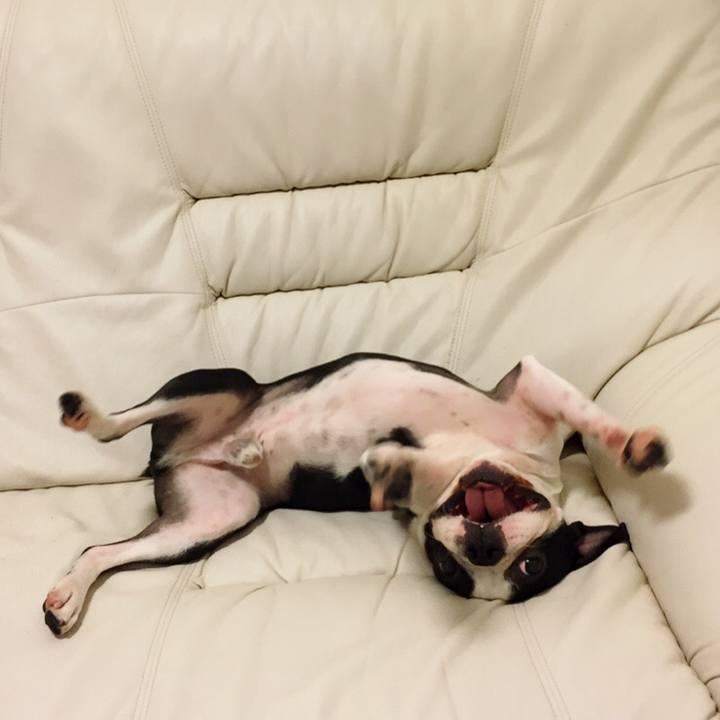 060543c9 3feb 44b1 87c7 0be48f61fe79