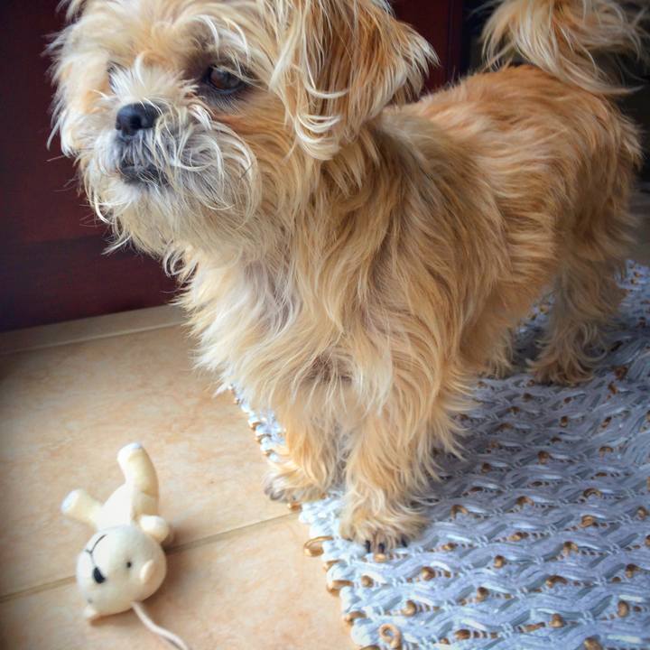 0605f5c0 09d5 44ea 84c8 aa6387c32aae