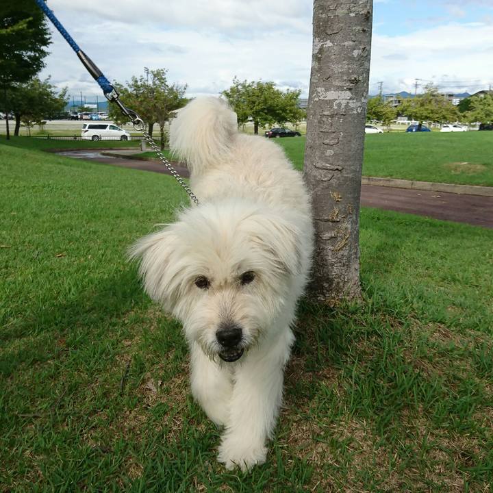 0605f651 0c0c 4907 b90f fde5a42dffa6