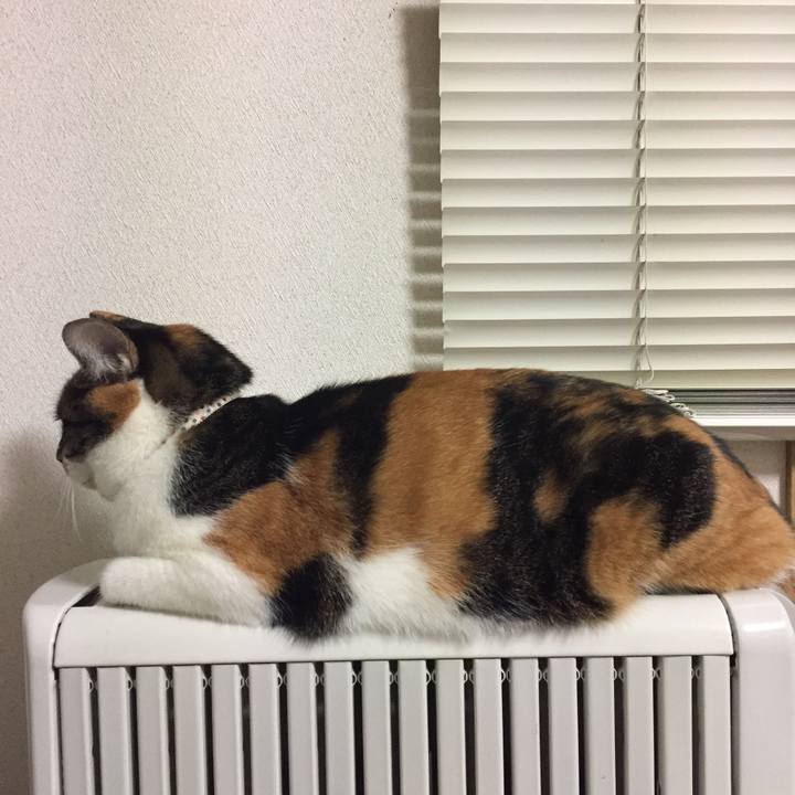 06061b34 e3e3 42dc 8442 08cd08b90f63