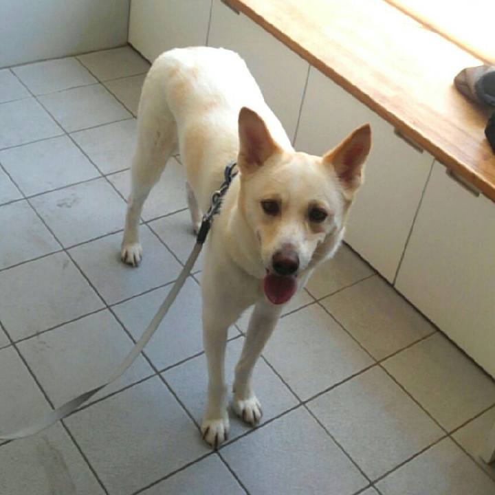 0606dc92 5c13 47bc 994a 37381ab299d1