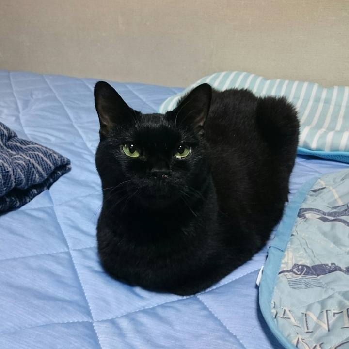 0607d6d8 a45d 4c0b 9c9f 53da395f36e6