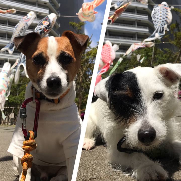 06085d64 b9e8 47be a44b 4dd9ab048d57