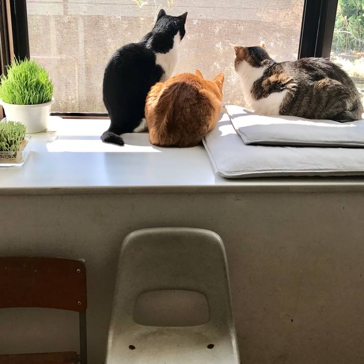 0608994e f271 415e 998e caff974d0d14