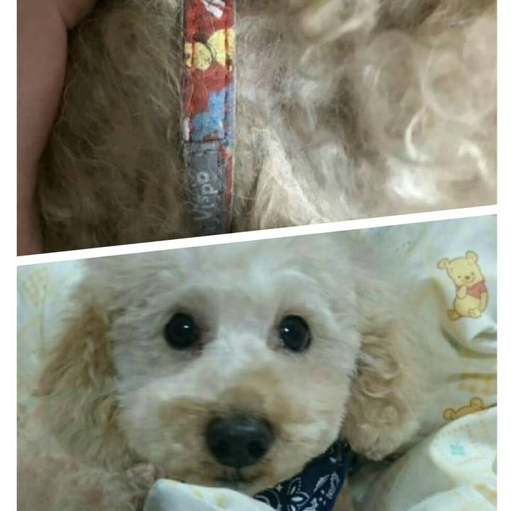 06091f51 928c 4581 8937 841d56475aab