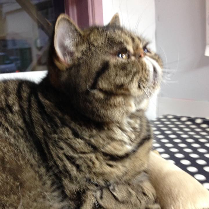 060af3f9 7fbd 41af 887e 05e281fdc802