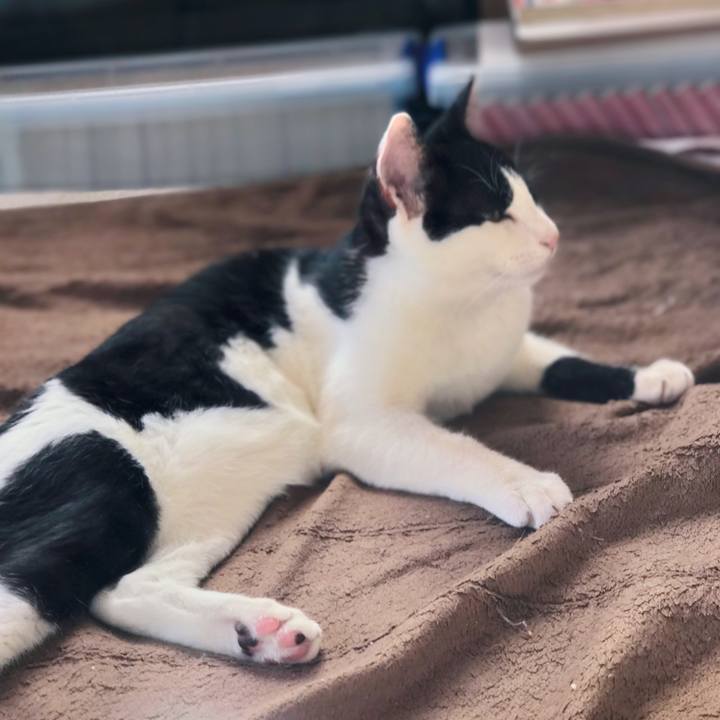 060b1486 a856 44eb a571 0f8171da5062