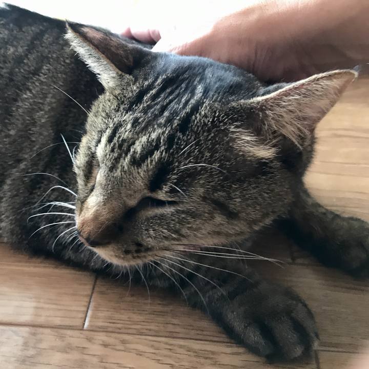 060c51e9 9dd0 4881 a252 c52f1d99557e