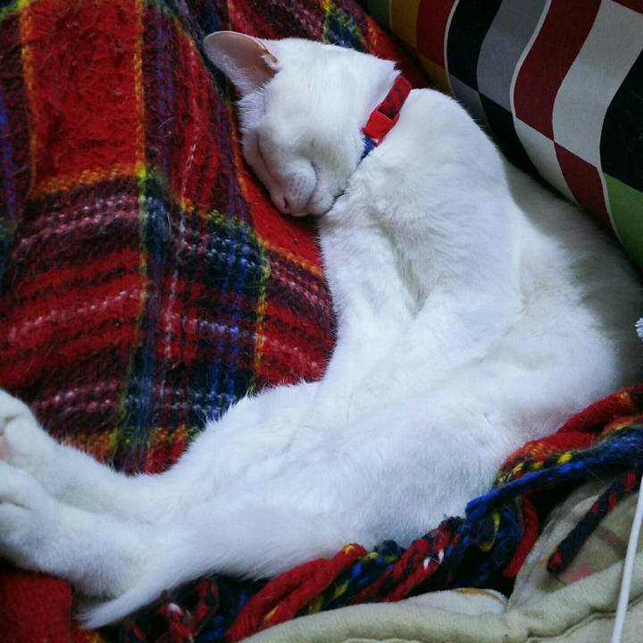 060c727f 0a0e 4998 9656 70919856a12d