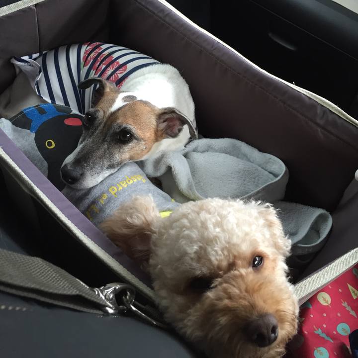 060c9d41 0110 4645 abd1 6ba59740d5b5