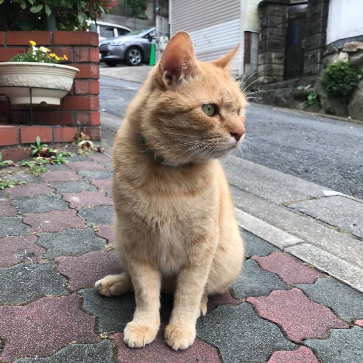 060cf2ab edee 4add 9d63 710238223ca5